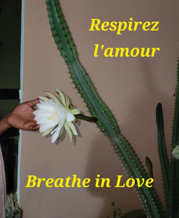 Breath In Love