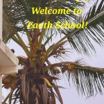 Earth school