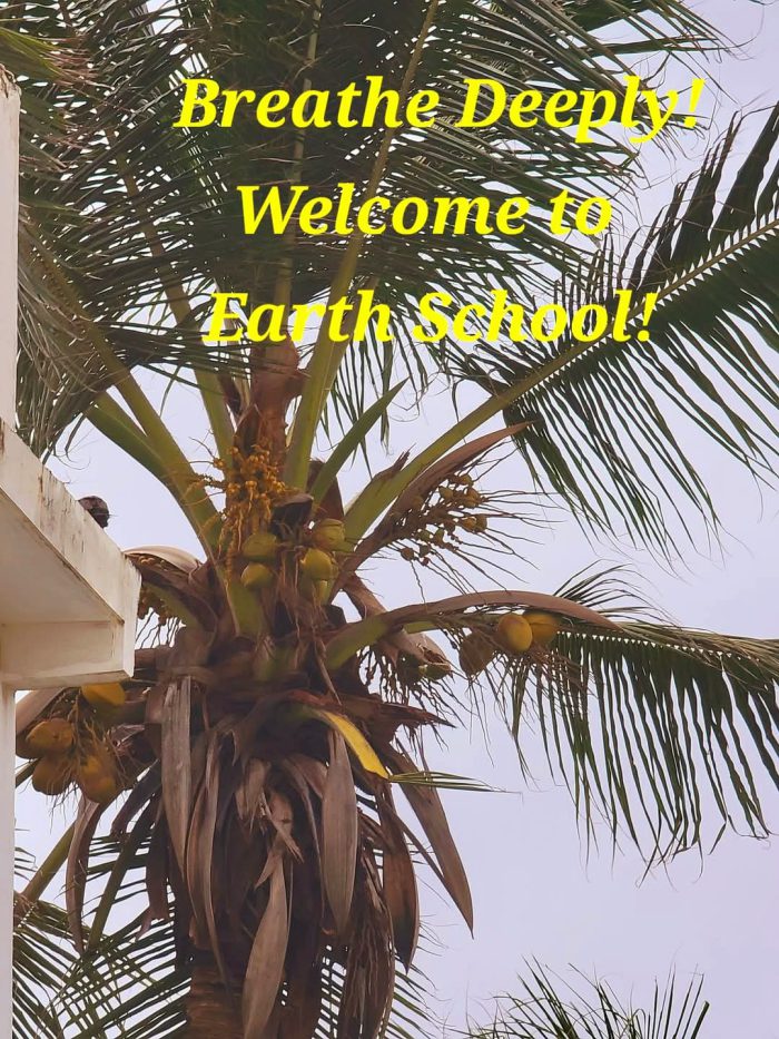 Earth school