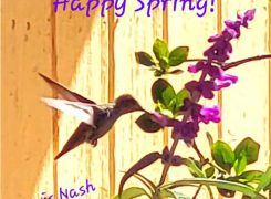 PAUSE: A Spring Prayer: May We Let Go of Winters of Doubt! 